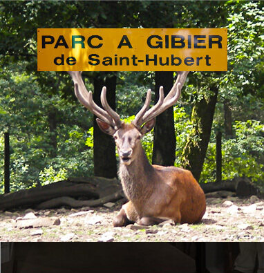 Parc à Gibier de St-Hubert