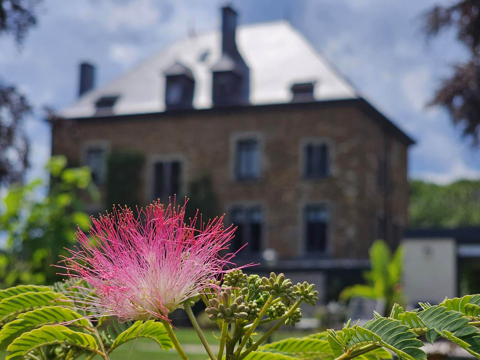 Un séjour unique à L&rsquo;Albizia